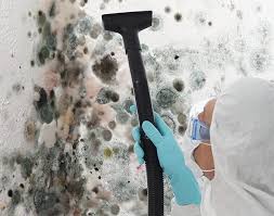 Best Environmental Consulting for Mold Prevention  in New Bremen, OH